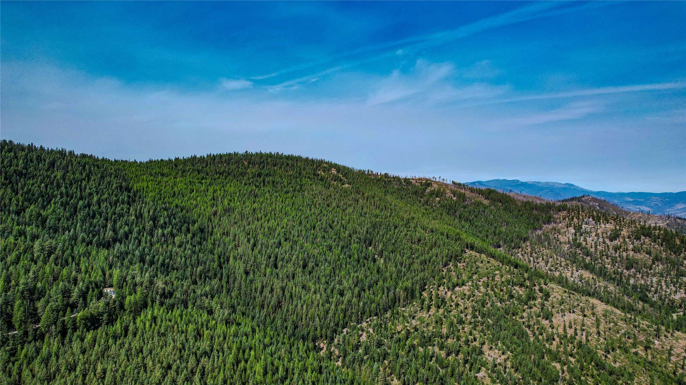 NHN W Fork Combest Creek RD, Plains, MT 59859