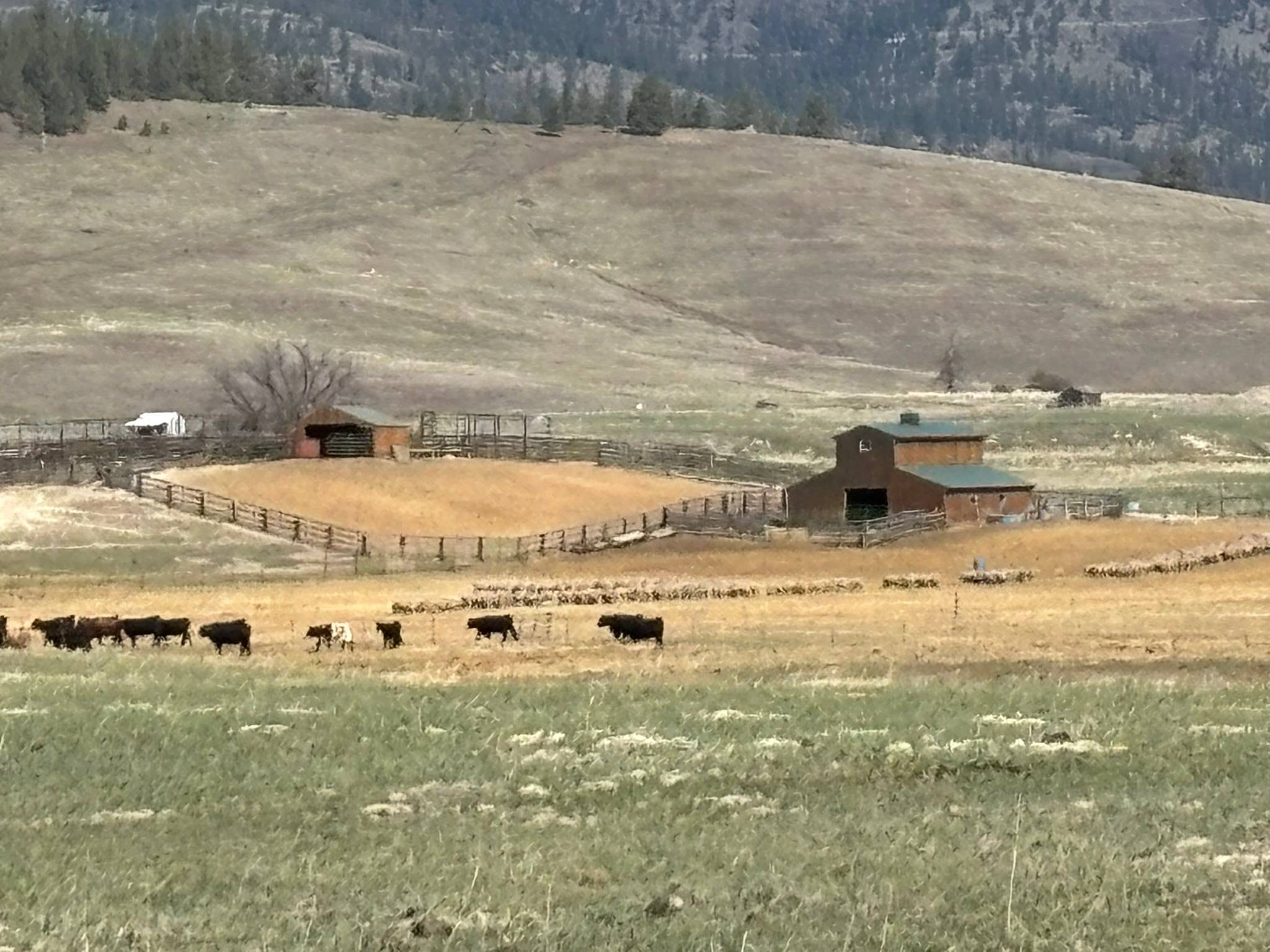 3 Finley Gulch RD, Lonepine, MT 59848
