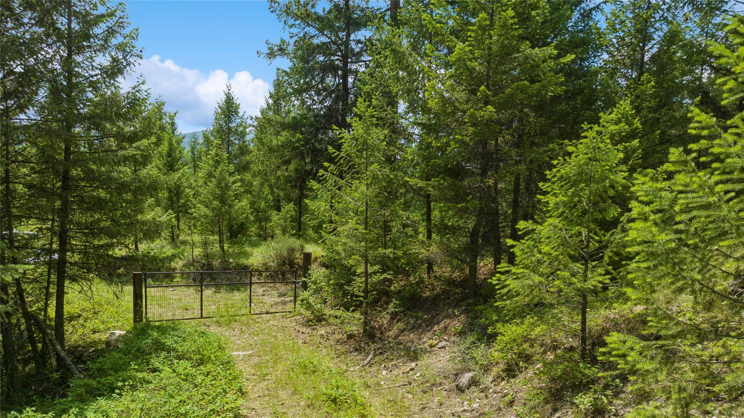 Rexford, MT 59930,nhn 540 Pinkham creek RD