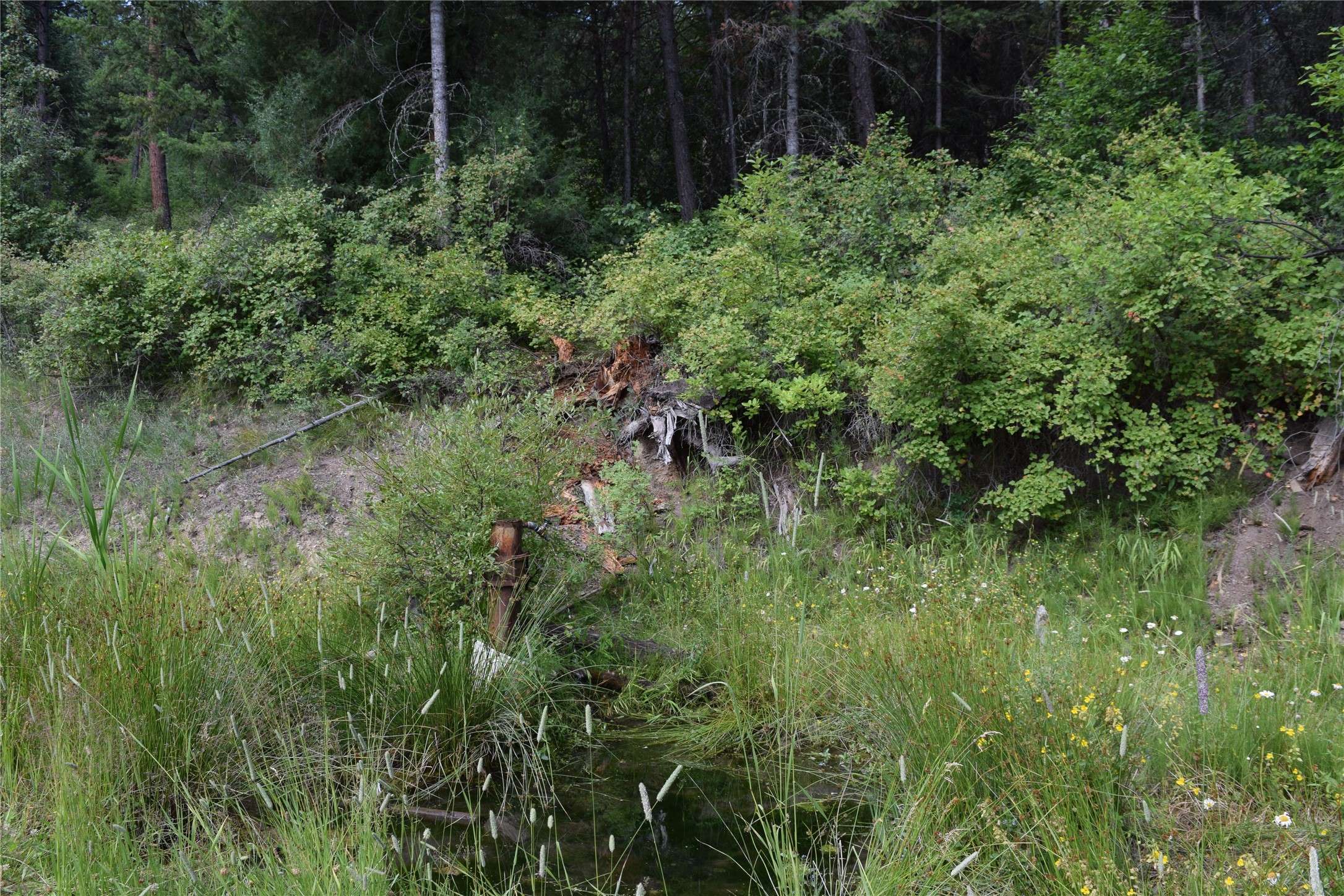 Arlee, MT 59821,73487 Arlee Pines DR