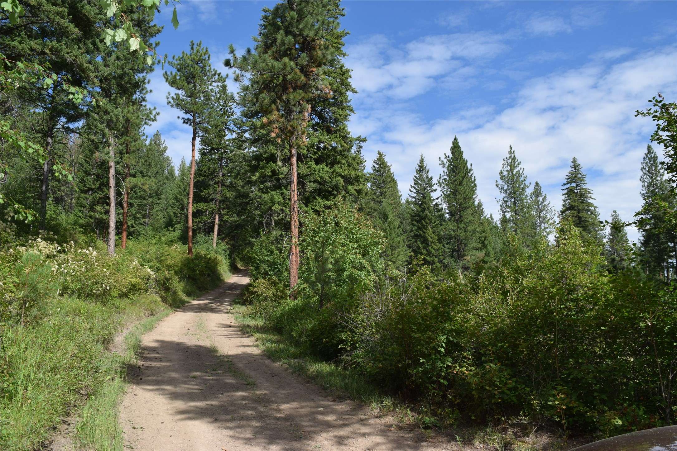 73487 Arlee Pines DR, Arlee, MT 59821