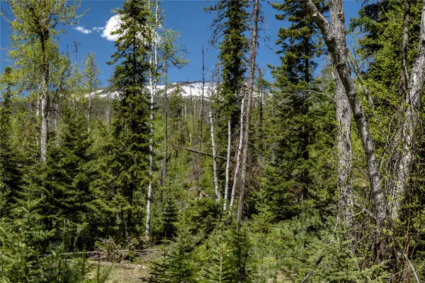 Bigfork, MT 59911,22000 Fenby LN