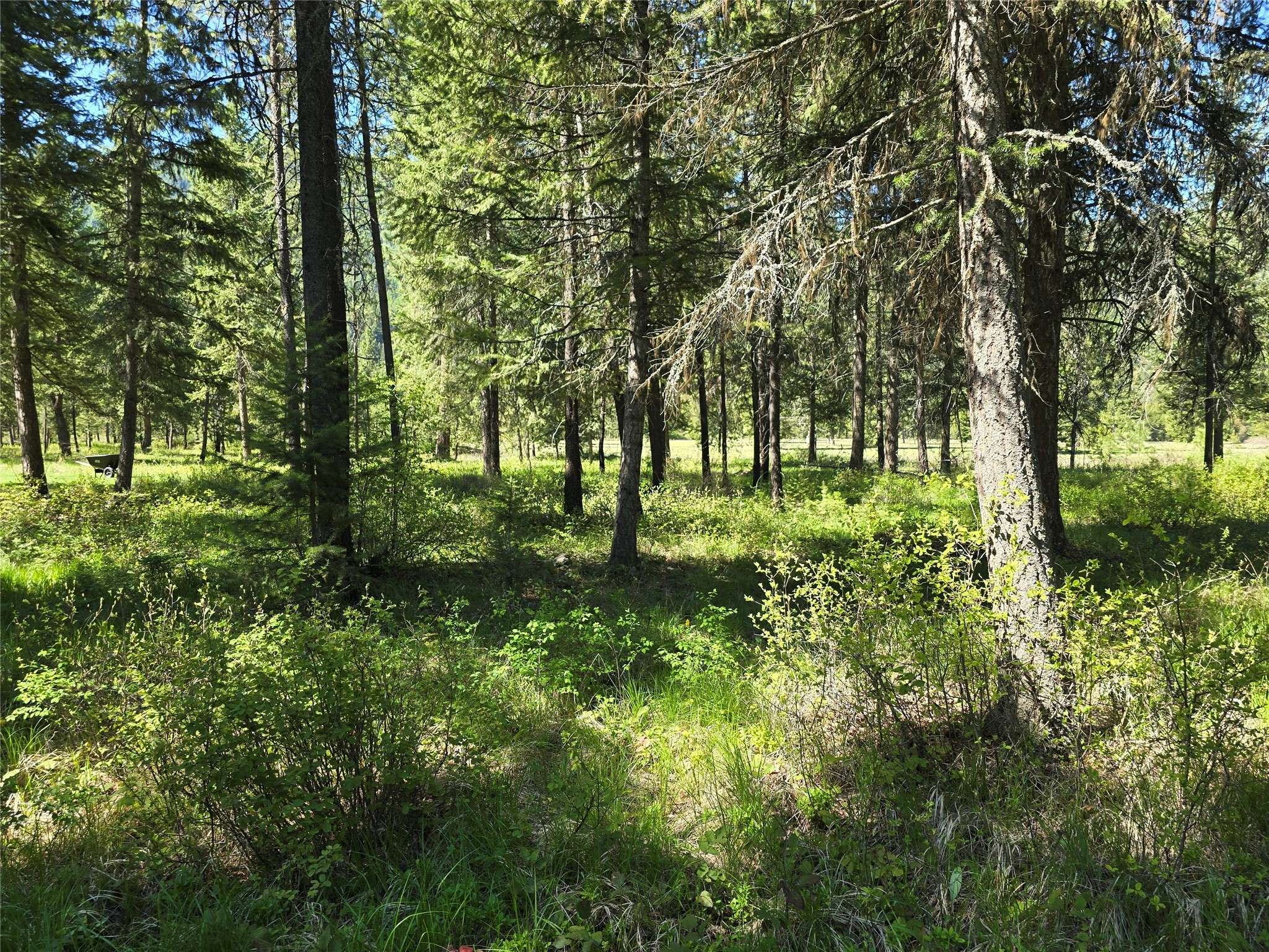 Saint Regis, MT 59866,NH Fairview DR