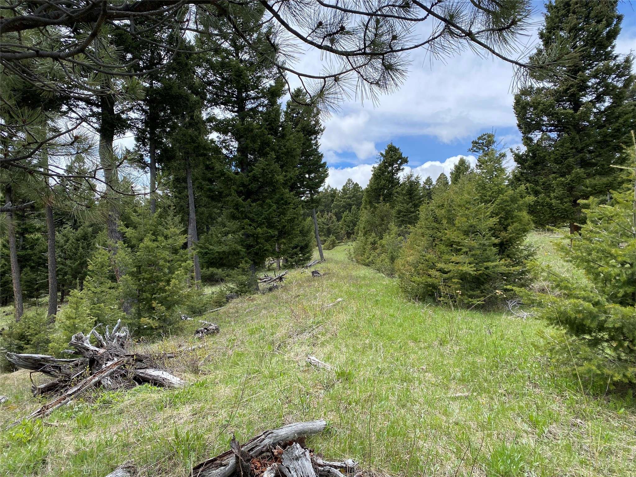 Helena, MT 59602,7-8 Turk RD