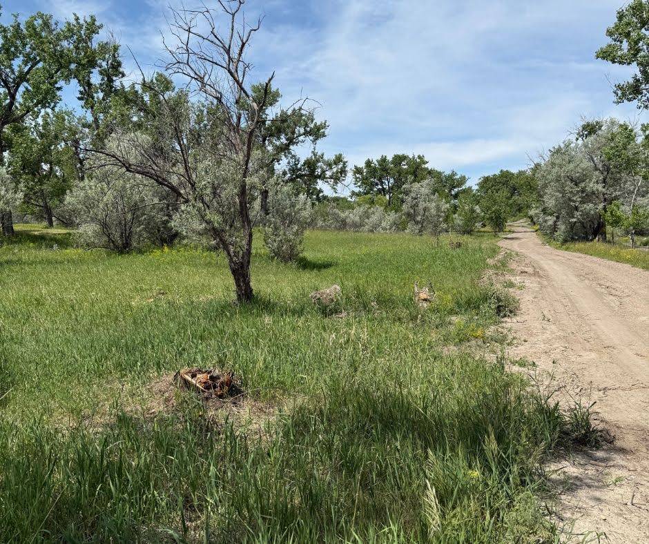 Great Falls, MT 59404,TBD Lower River RD