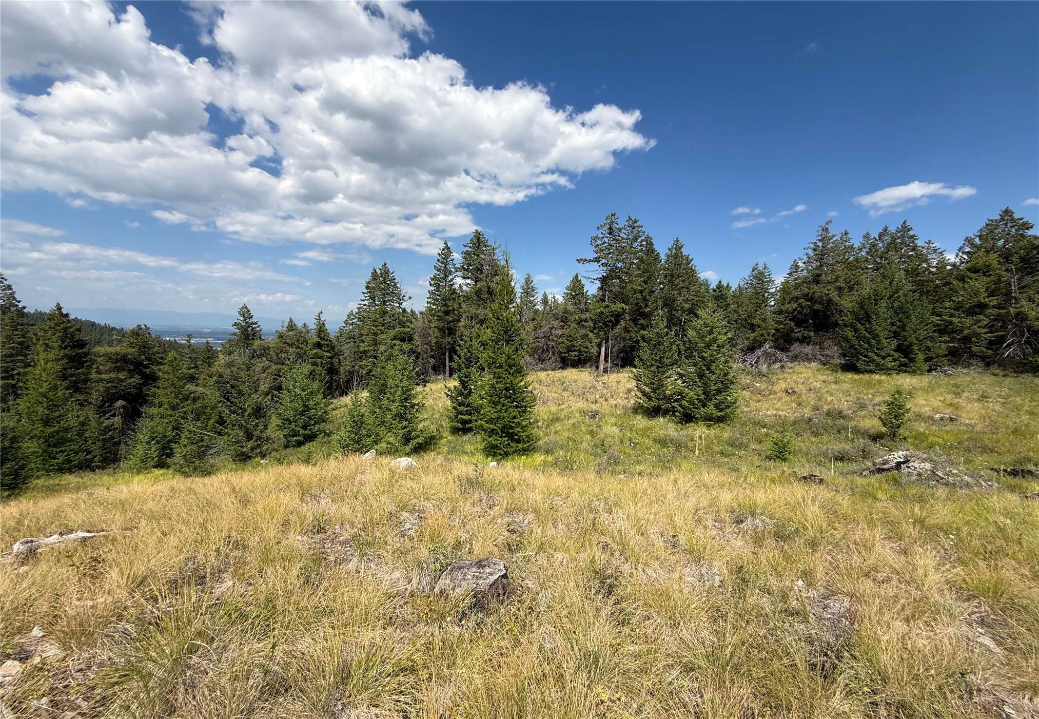 NHN Buffalo LN, Somers, MT 59932