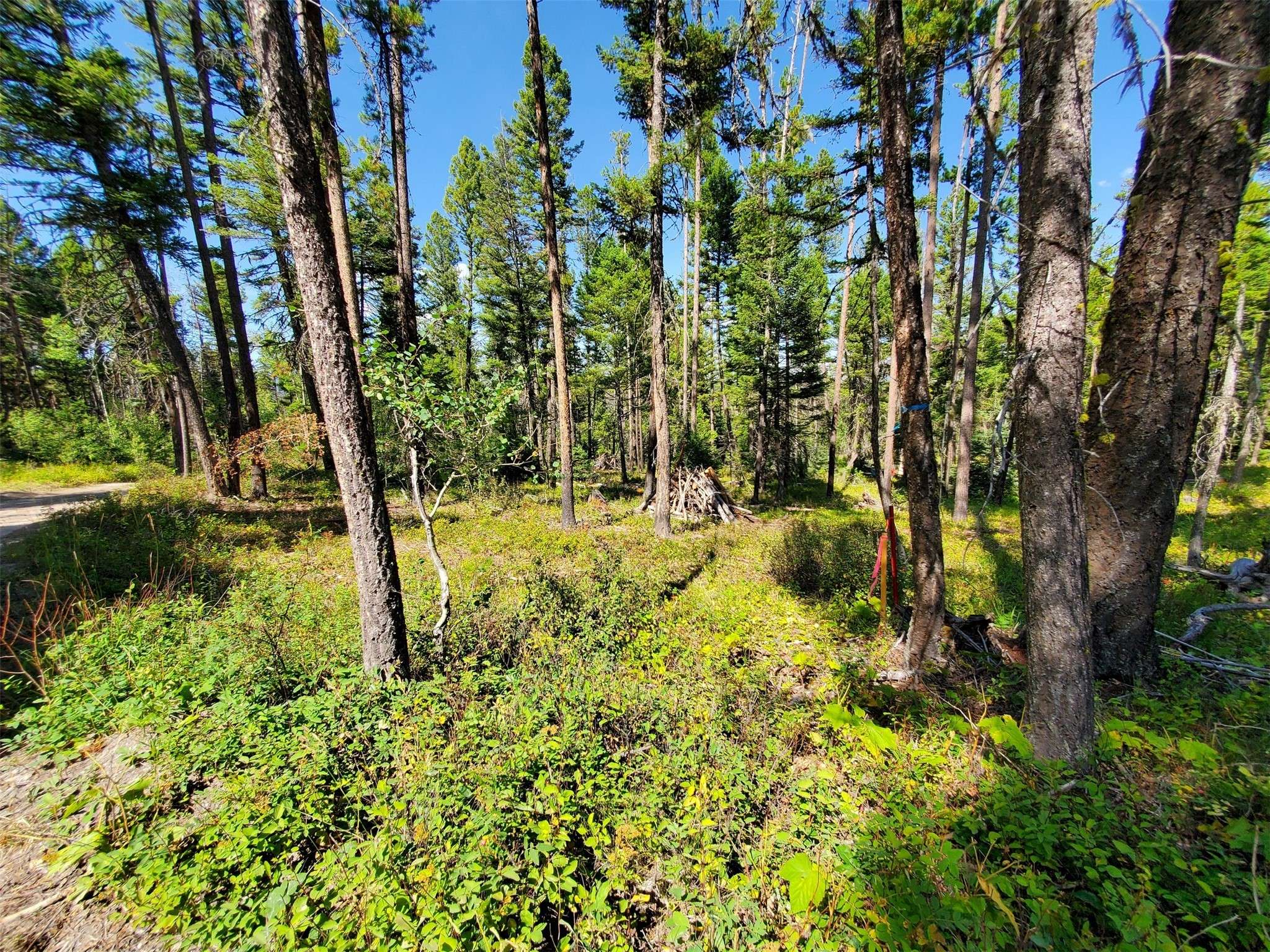 Lincoln, MT 59639,TBD Bear Gulch #Lot 5
