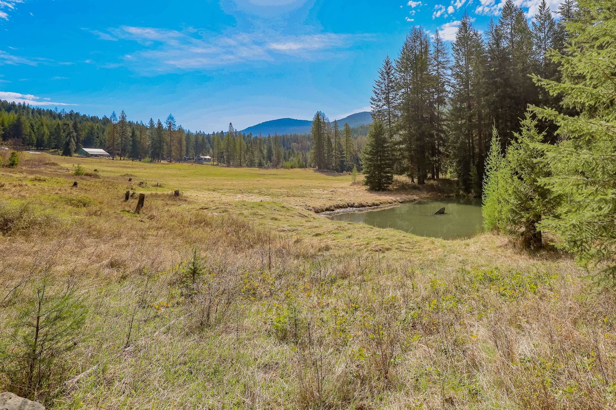 Libby, MT 59923,Nhn Warland Creek RD