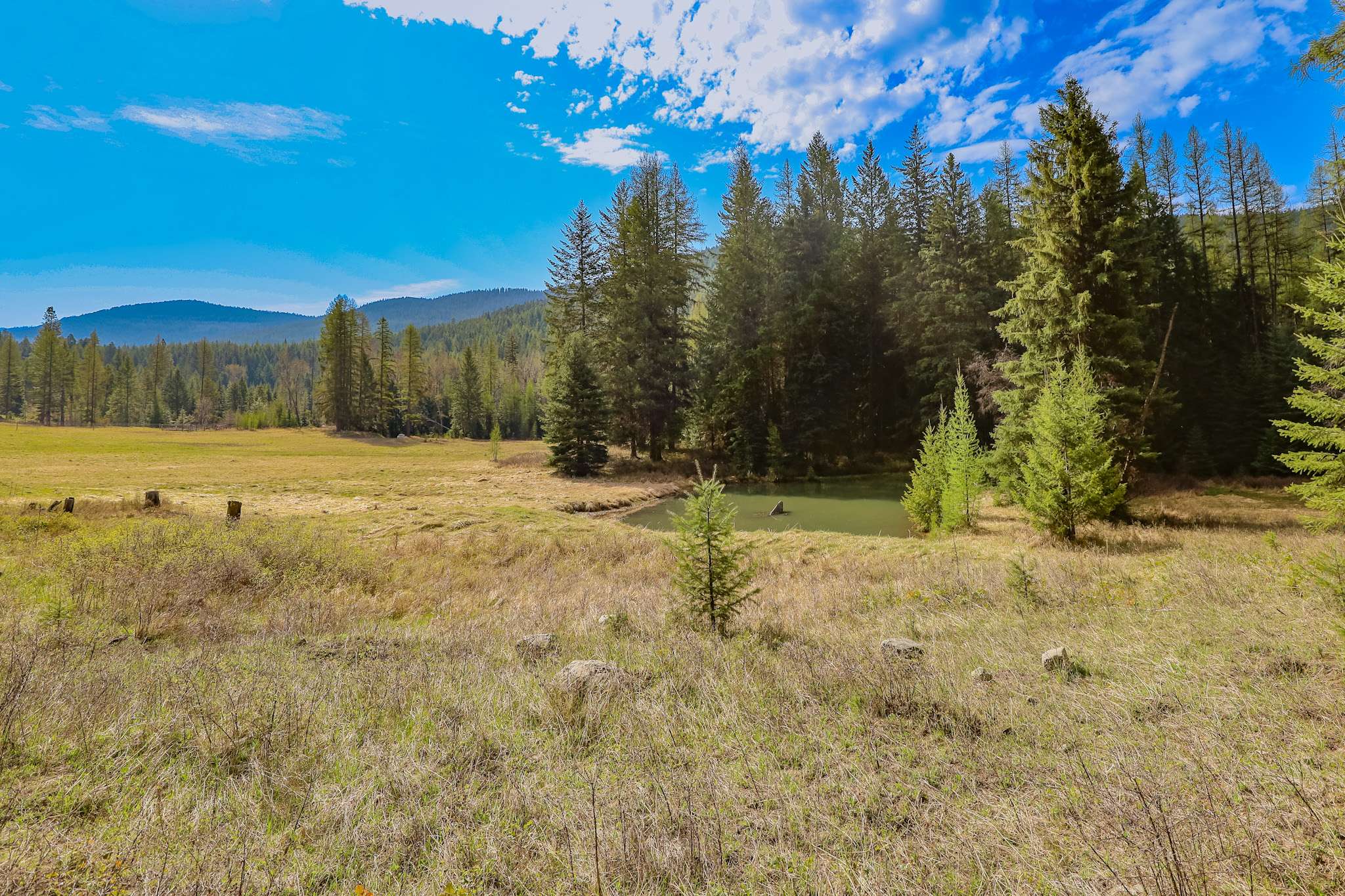 Libby, MT 59923,Nhn Warland Creek RD