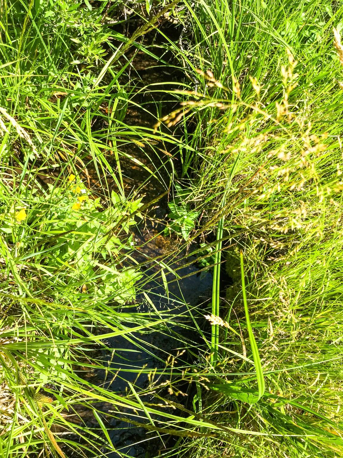 Townsend, MT 59644,TBD Upper Deep Creek