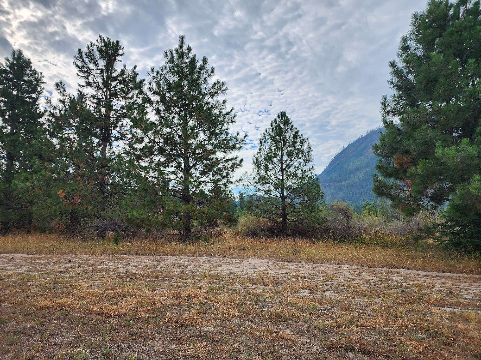 Plains, MT 59859,Lot 3 Harbine Ranch RD