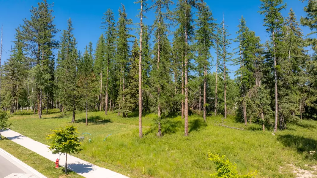 169 Mountain Brook LN, Whitefish, MT 59937