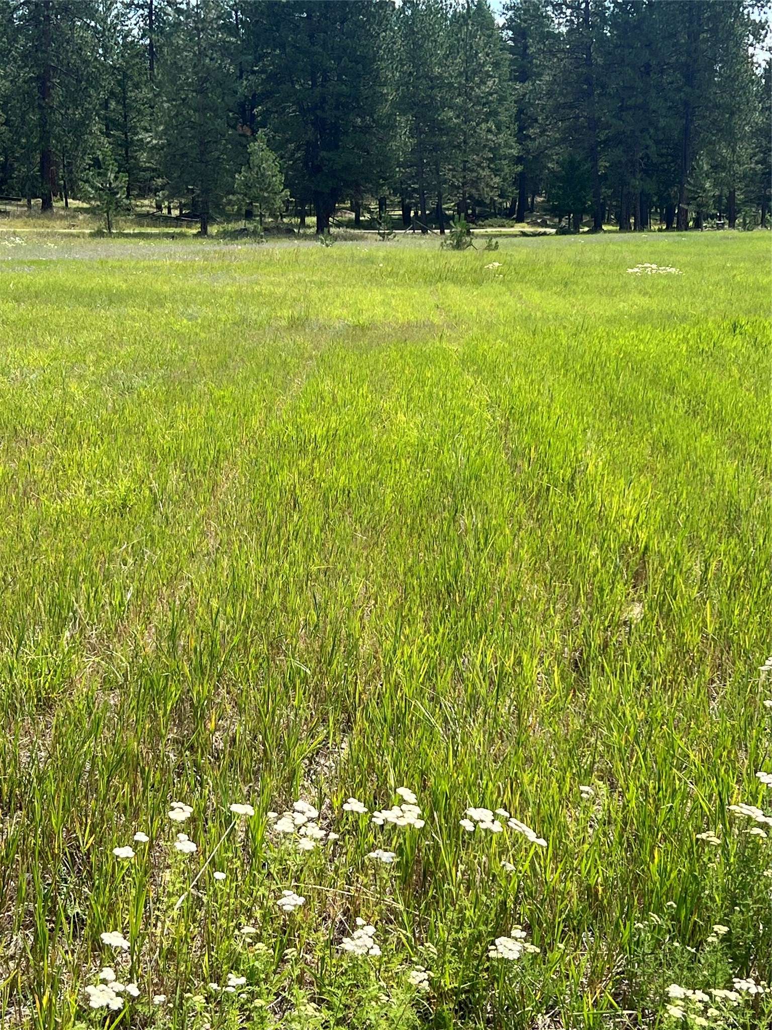 Kalispell, MT 59901,Nhn Lost Creek DR