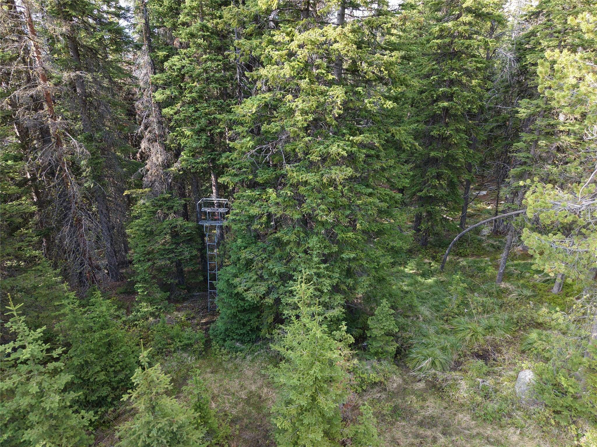 NHN Jack Creek, Basin, MT 59631