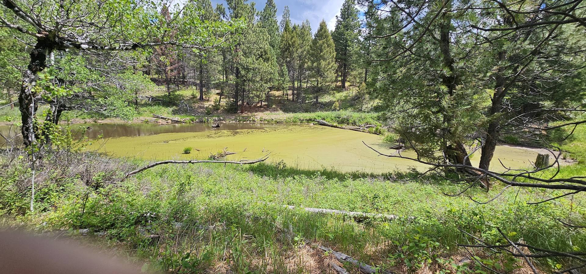 12 Tract, Hall Creek, Helmville, MT 59843