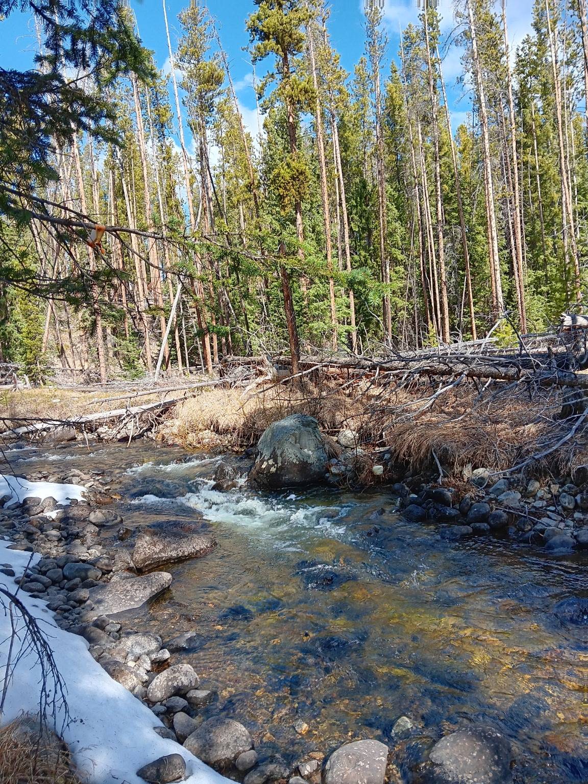 Anaconda, MT 59711,NHN Herring Flats RD