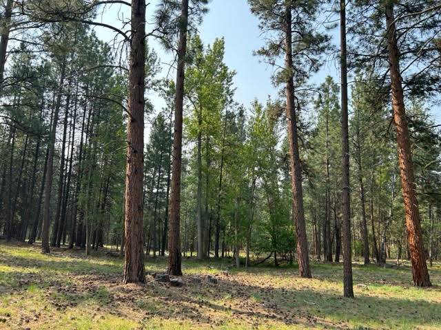 Stevensville, MT 59870,440 Sharrott Hill LOOP #lot 5