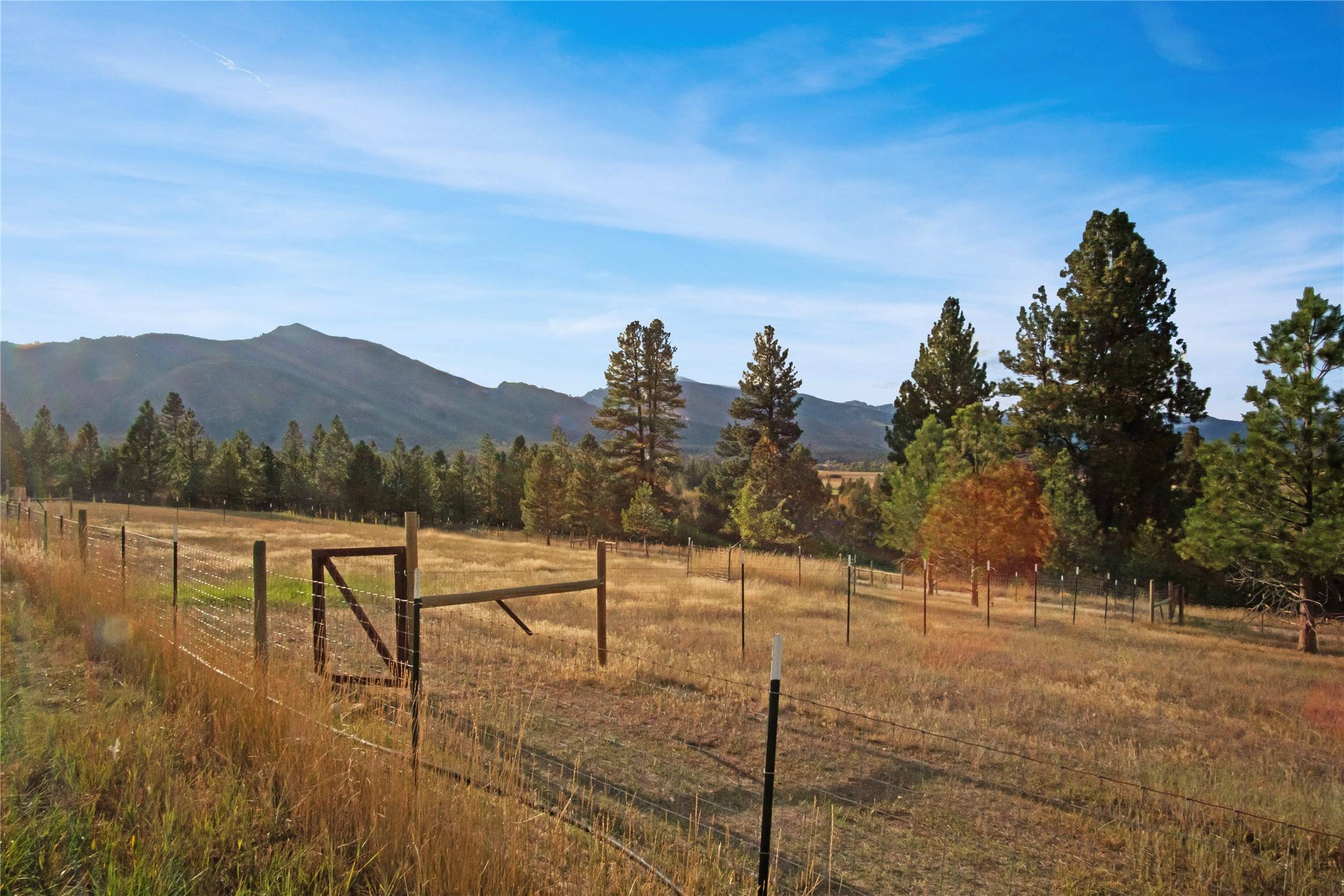 Hamilton, MT 59840,330 Bowman RD