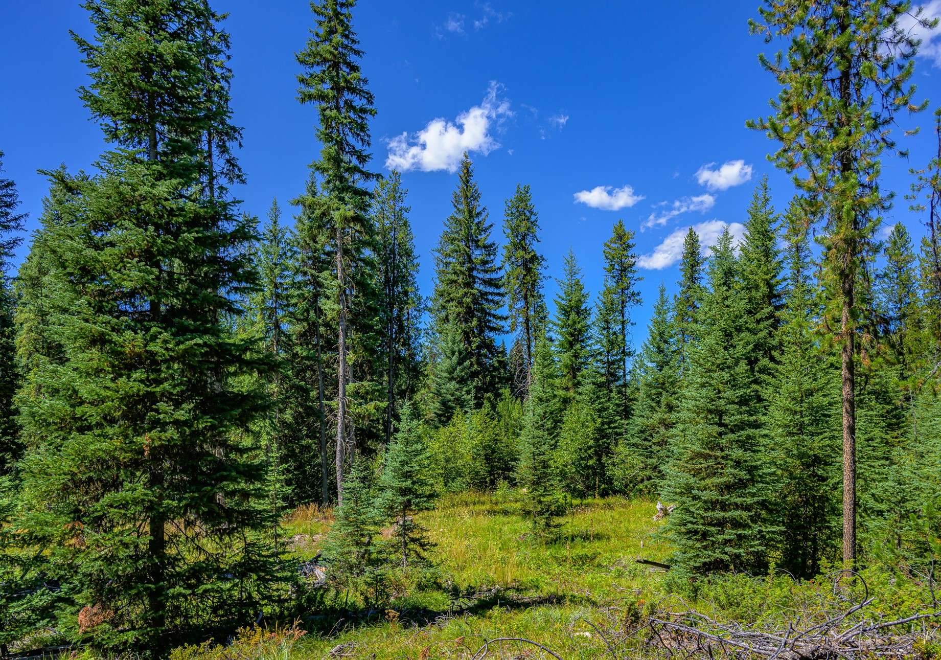 Seeley Lake, MT 59868,NHN Route 83