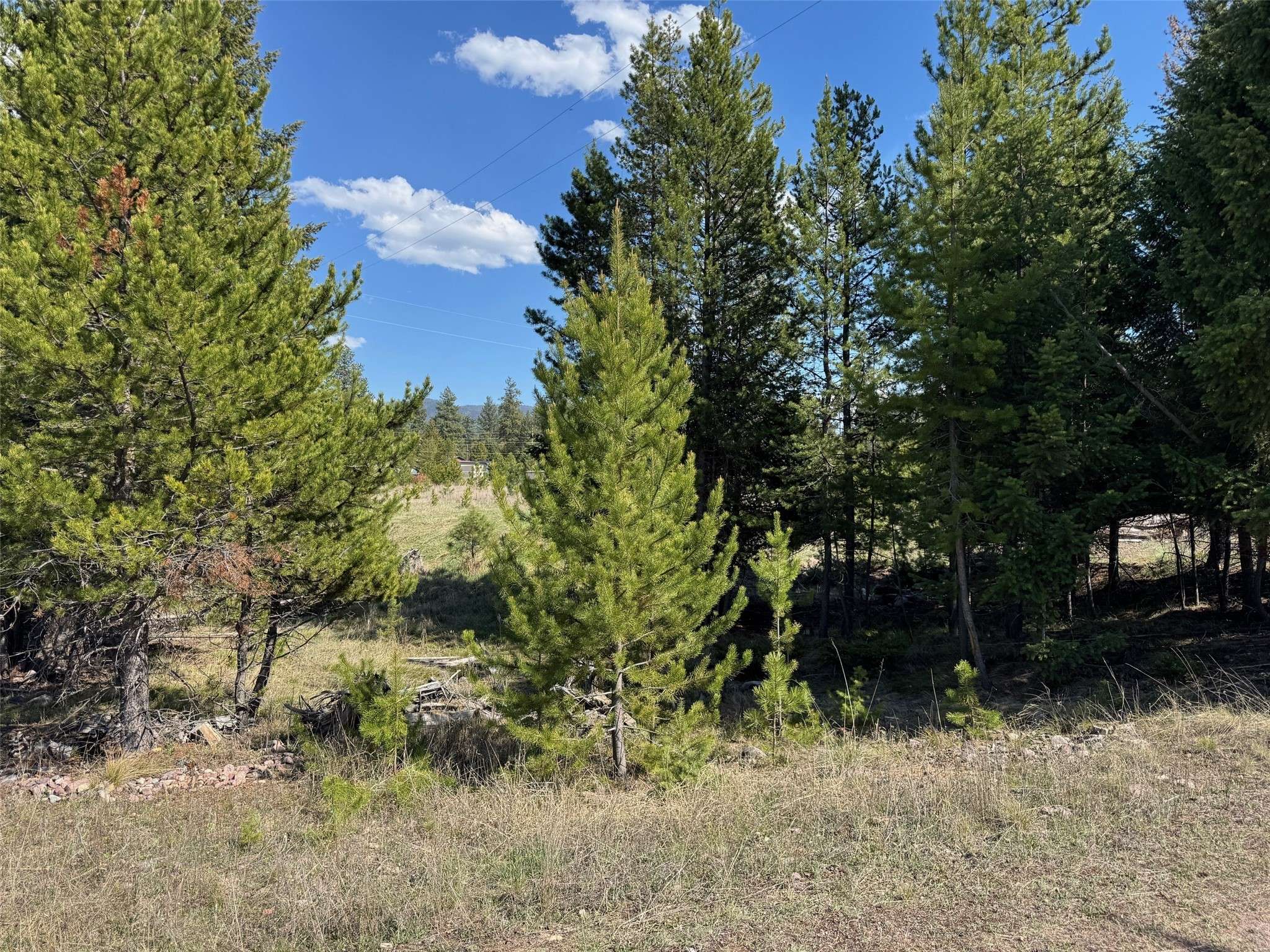 Seeley Lake, MT 59868,NHN Pine DR