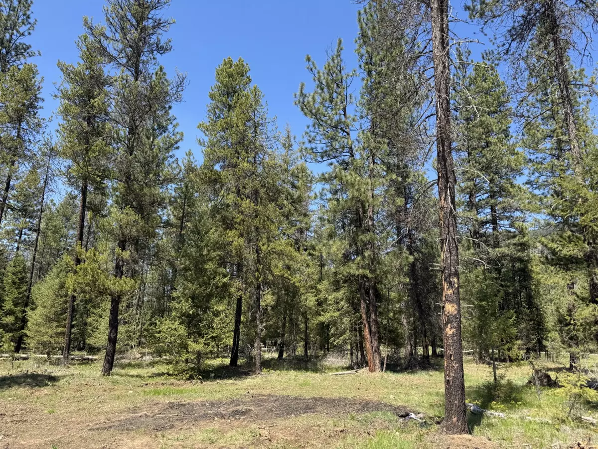Trout Creek, MT 59874,Nhn Franko LN