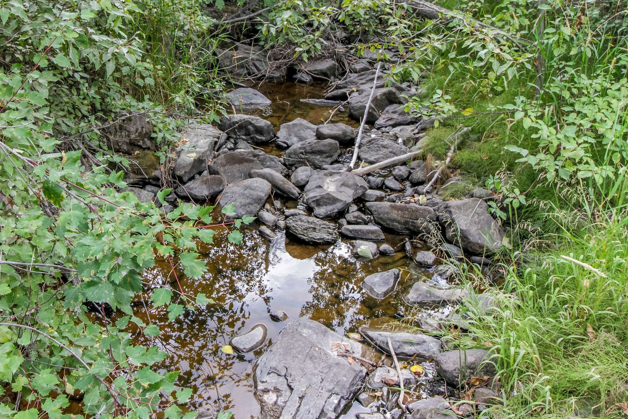 Kila, MT 59920,445 Haskill Ranch RD