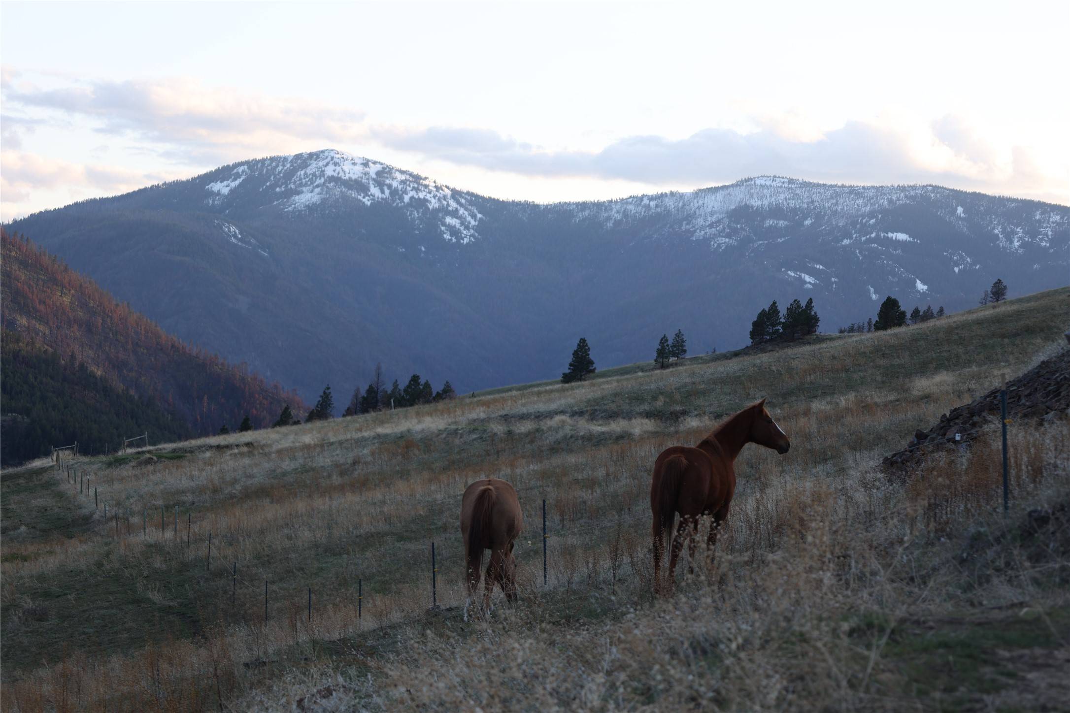 Paradise, MT 59856,407 Mclaughlin Creek RD