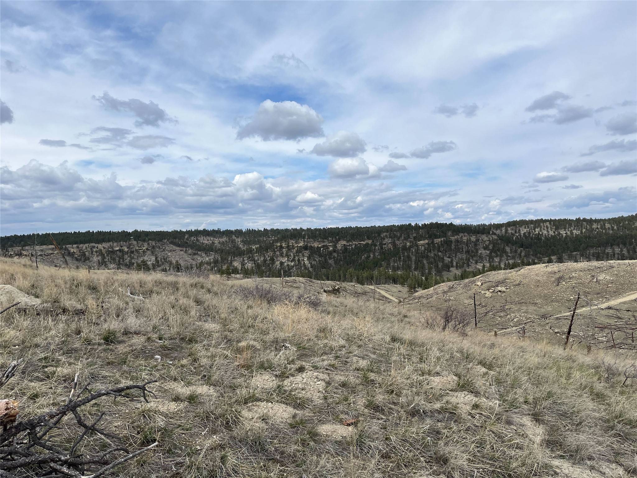 Roundup, MT 59072,118 Buckskin RD