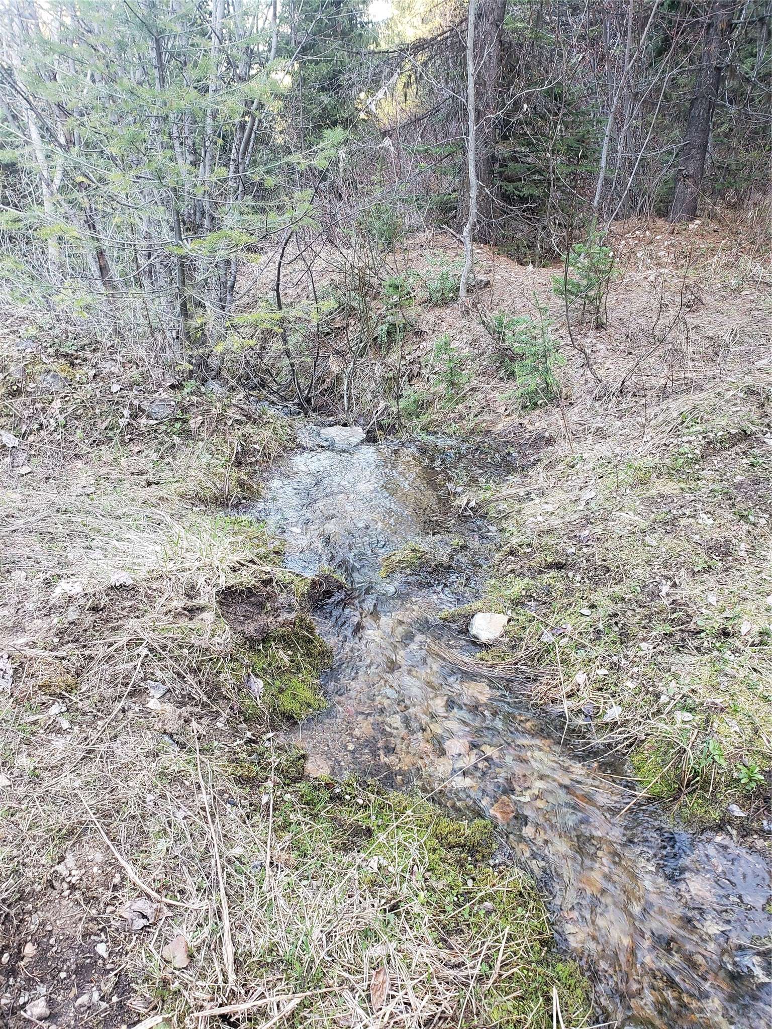 Huson, MT 59846,Tract 12 Grouse Lode Nine Mile RD
