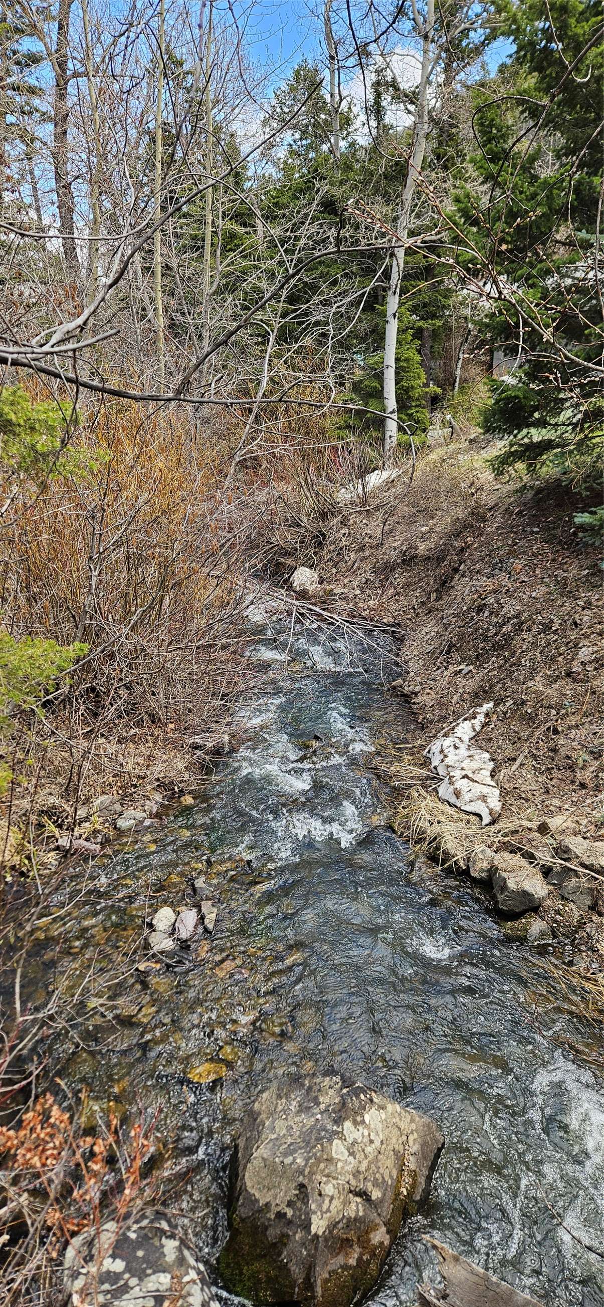 11169 Stemple Pass RD, Lincoln, MT 59639