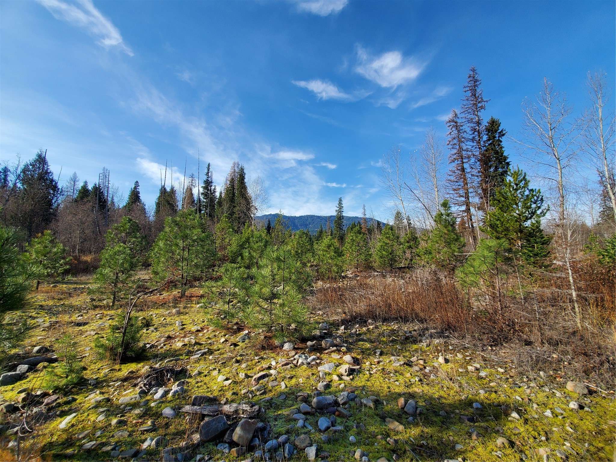 Troy, MT 59935,177 Double Creek LN