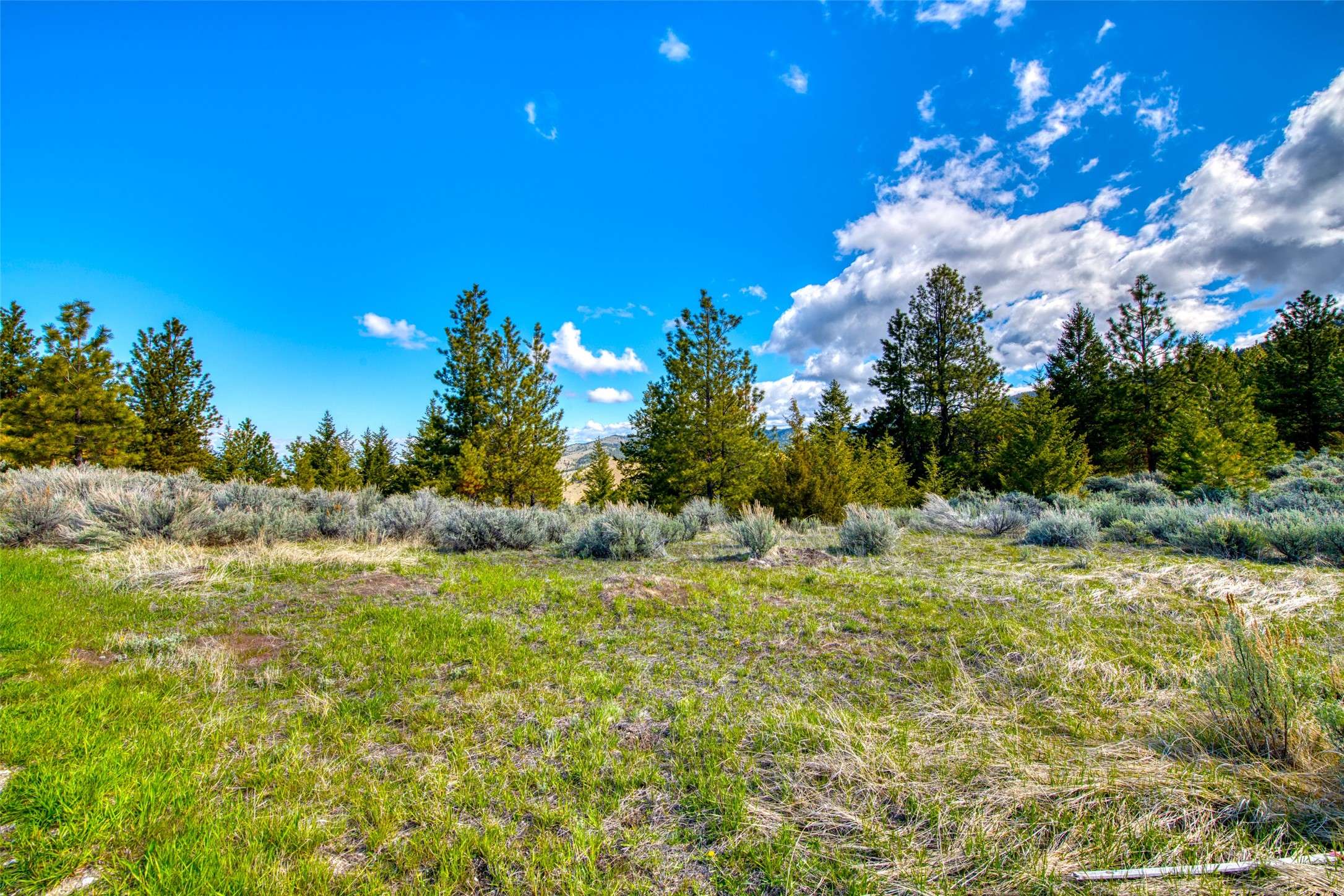Corvallis, MT 59828,2136 Blue Sage TRL