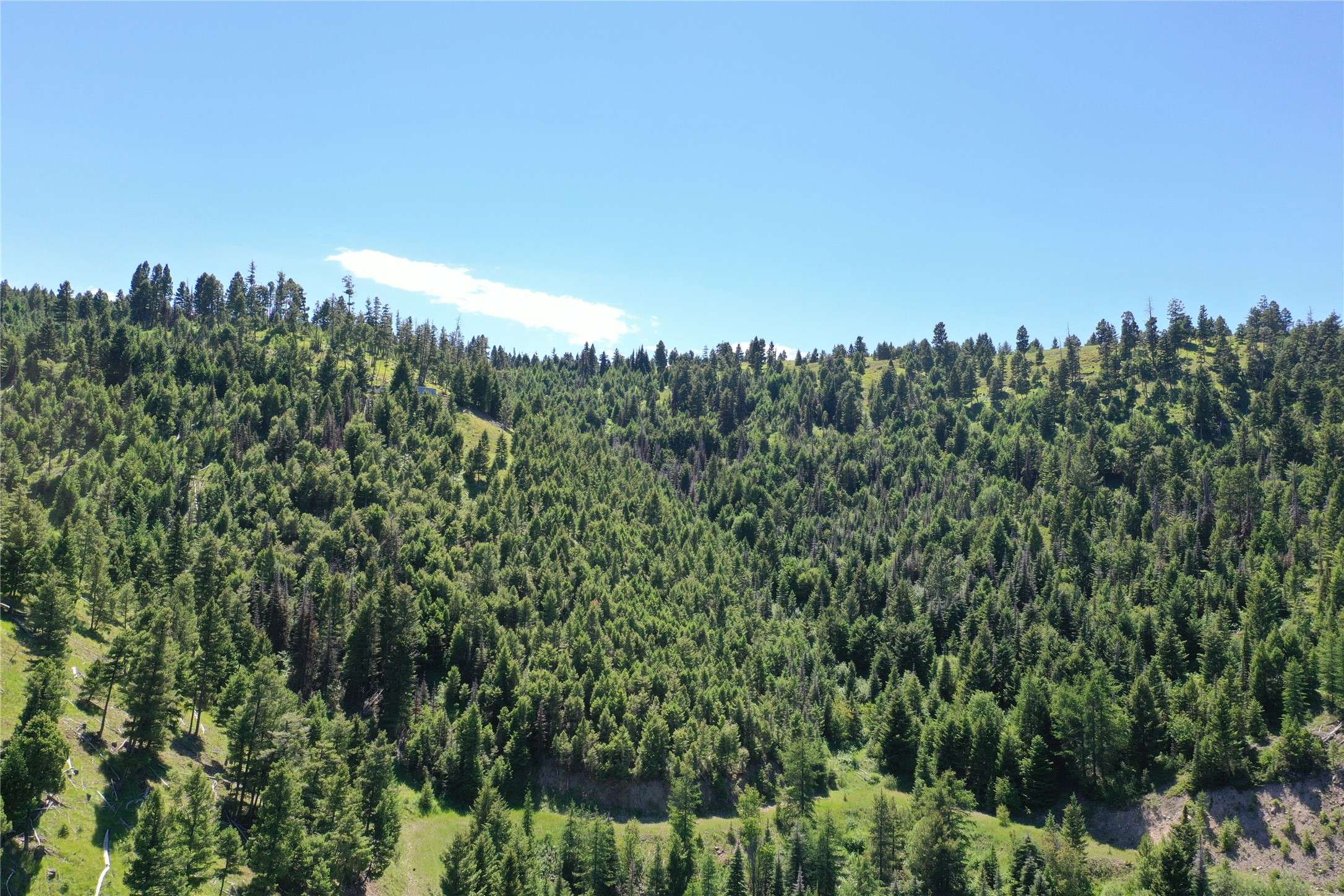 Drummond, MT 59832,13 Tract, Garnet Range