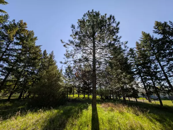 Kalispell, MT 59901,117 Northwest LN #B