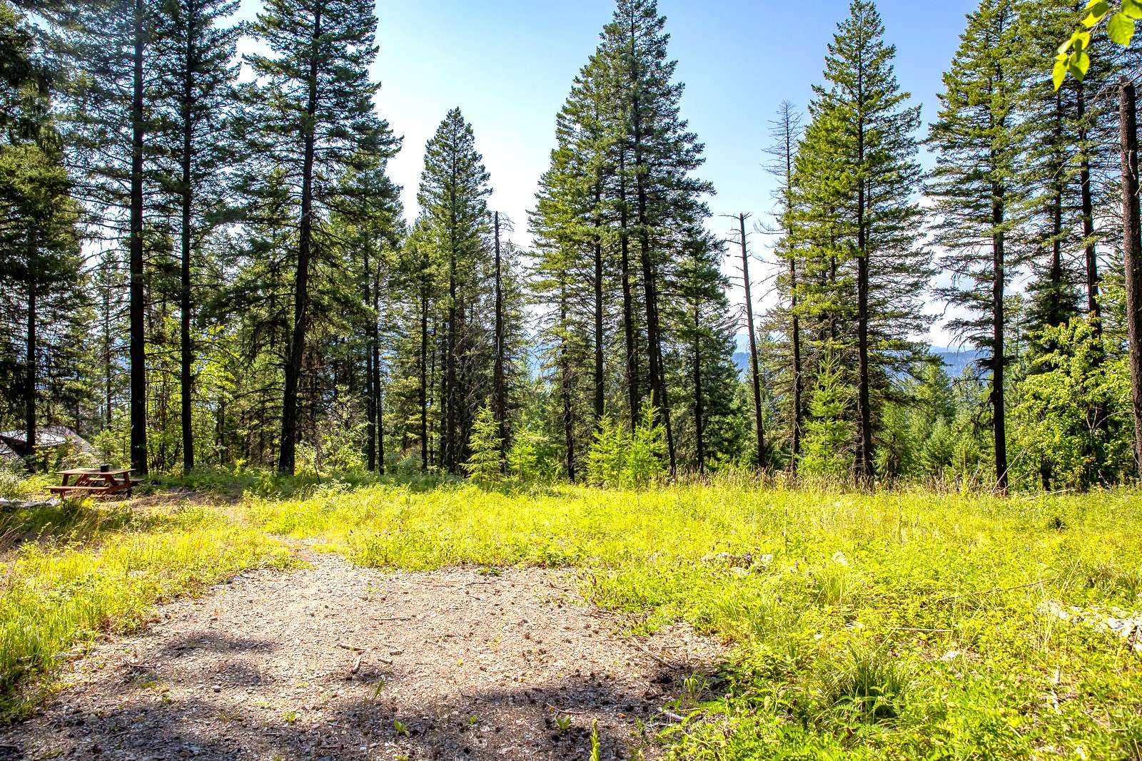 Whitefish, MT 59937,120 Cedar WAY
