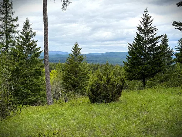 Trego, MT 59934,NHN Lagoon DR