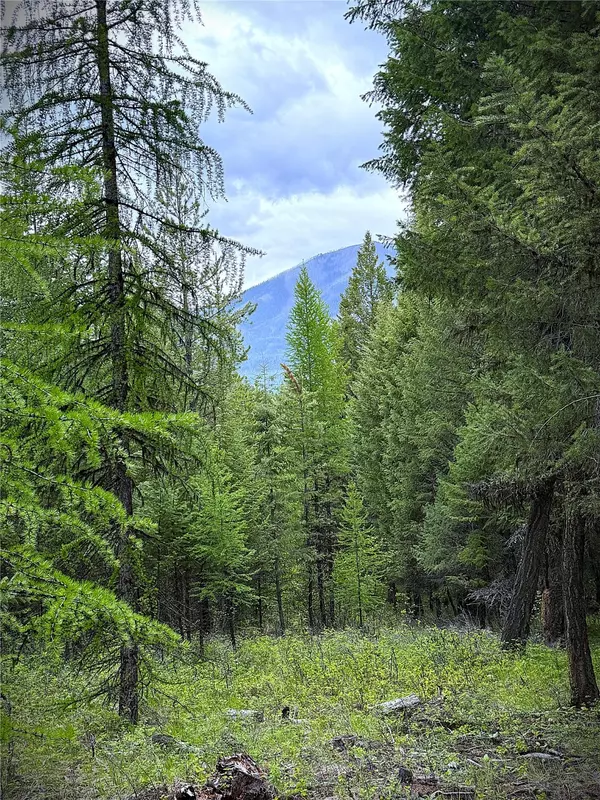 Trego, MT 59934,NHN Lagoon DR