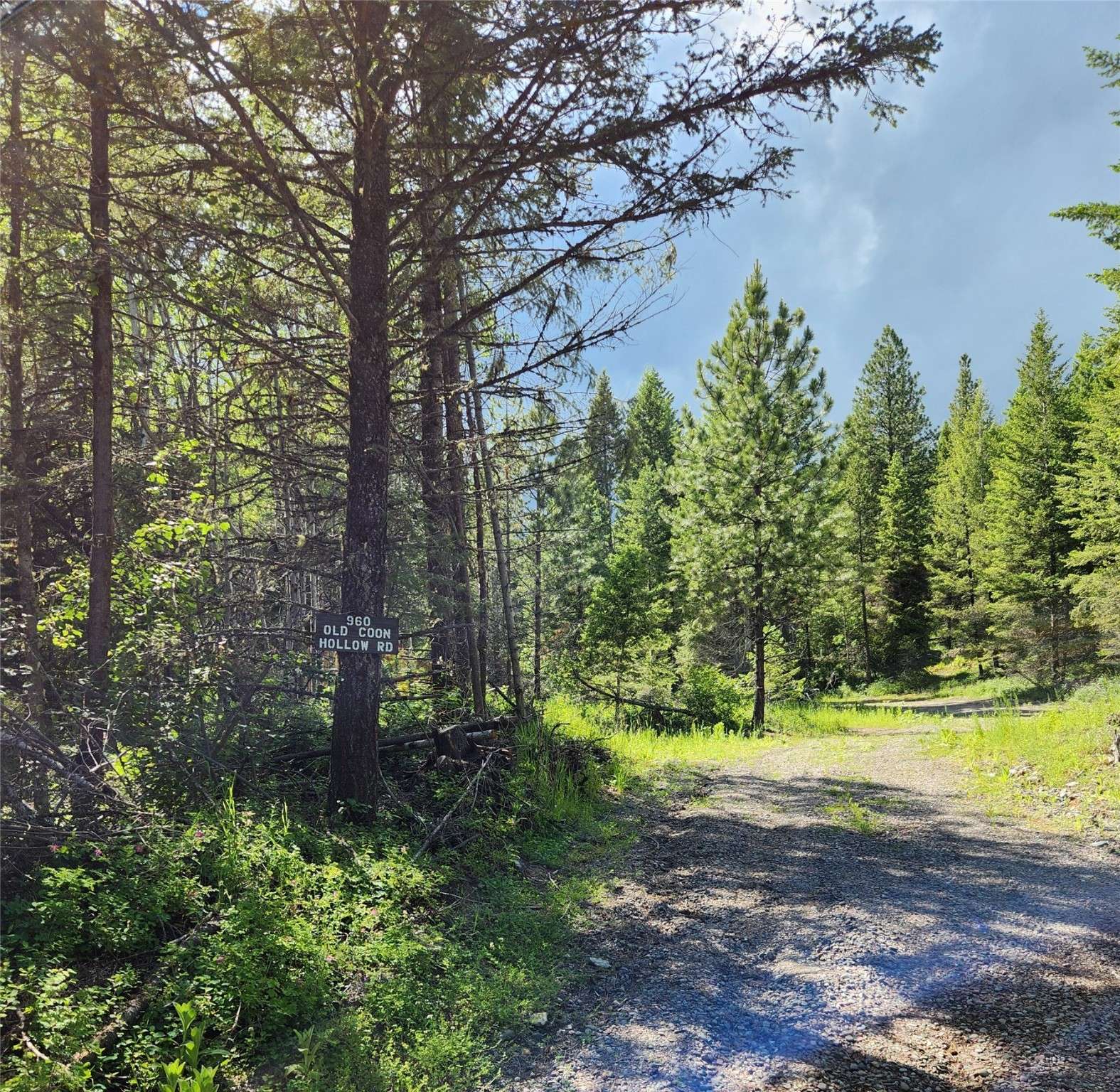 Kalispell, MT 59901,960 Old Coon Hollow RD