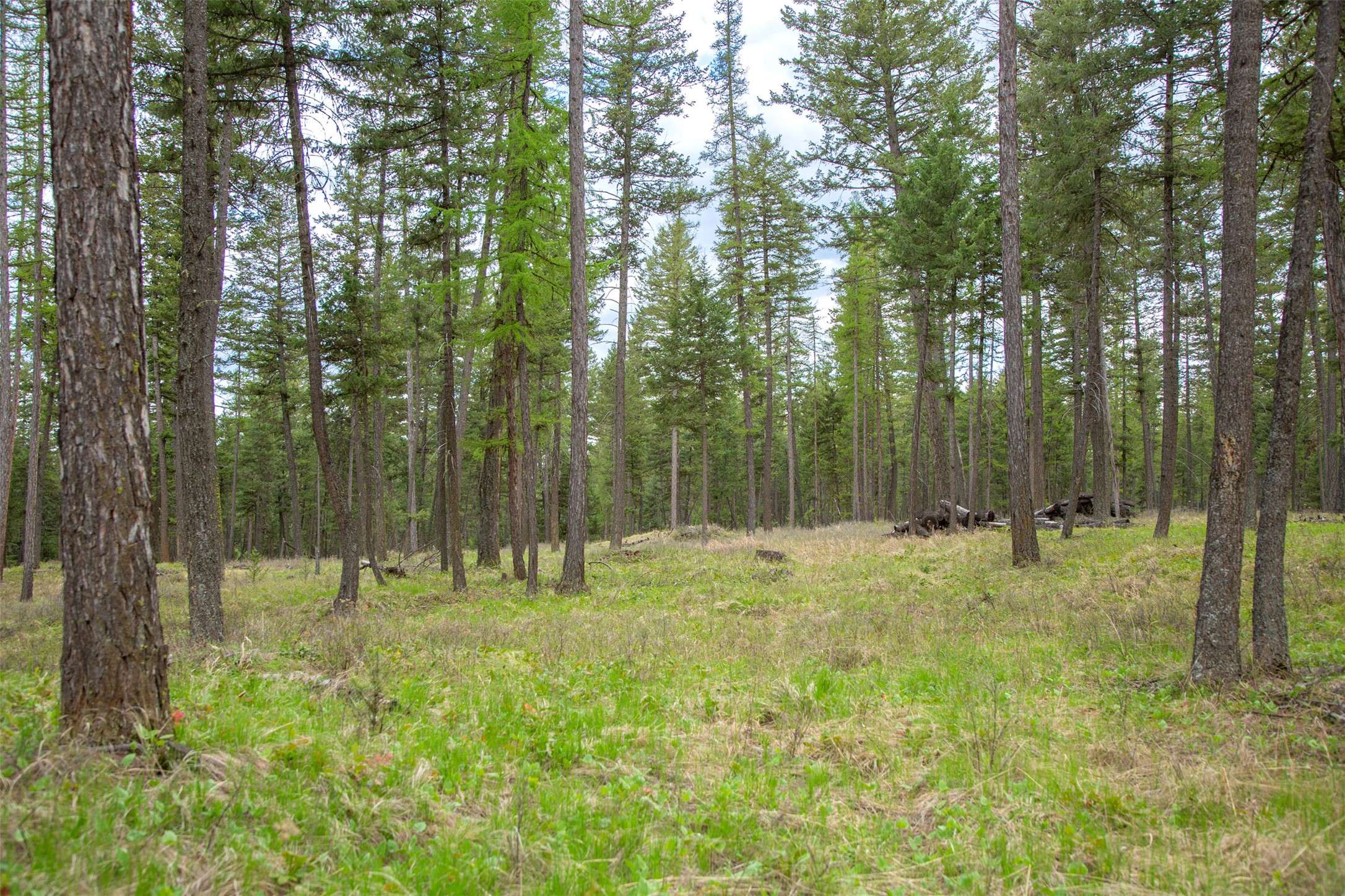 Kalispell, MT 59901,NHN Bowdish RD