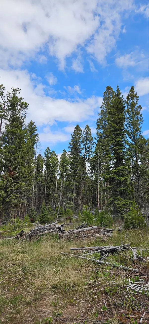 000 Bear Gulch RD, Lincoln, MT 59639