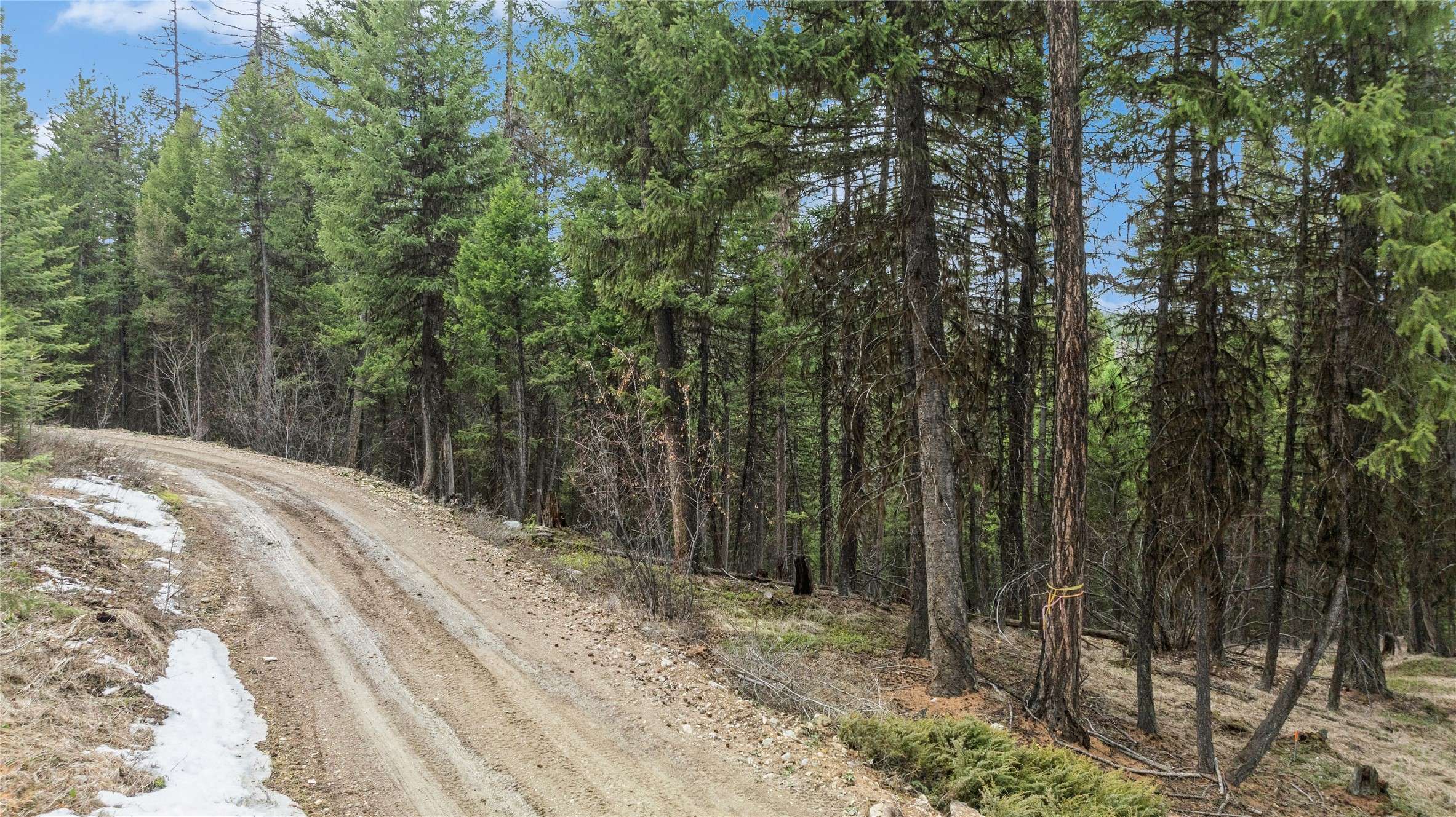 Fortine, MT 59918,388 Coyote Ridge Pass RD