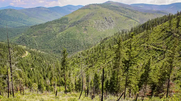 Nhn Swamp Creek Hunting Ranch, Plains, MT 59859