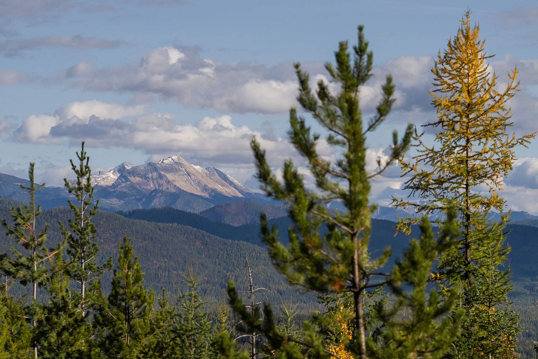 Columbia Falls, MT 59912,6024 Teakettle RD