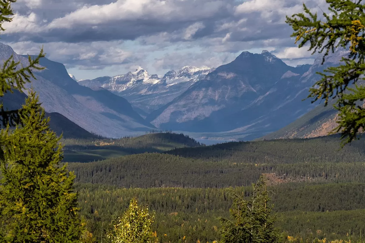 Columbia Falls, MT 59912,6024 Teakettle RD