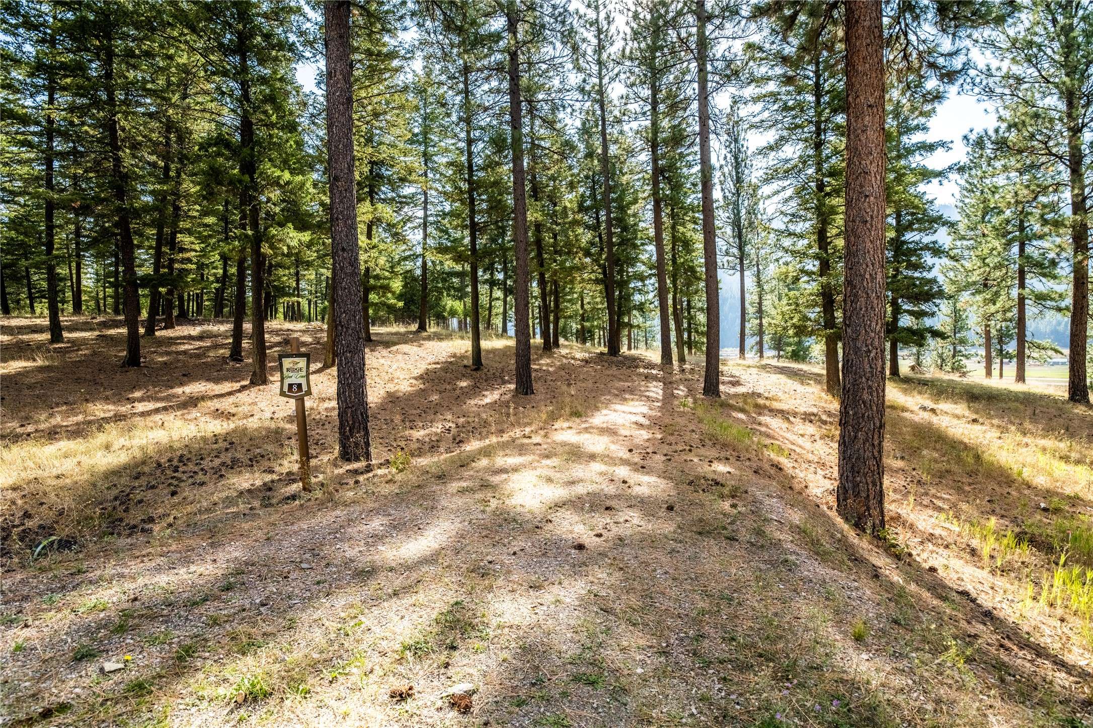 Clinton, MT 59825,Lot 8 Stonefly RD