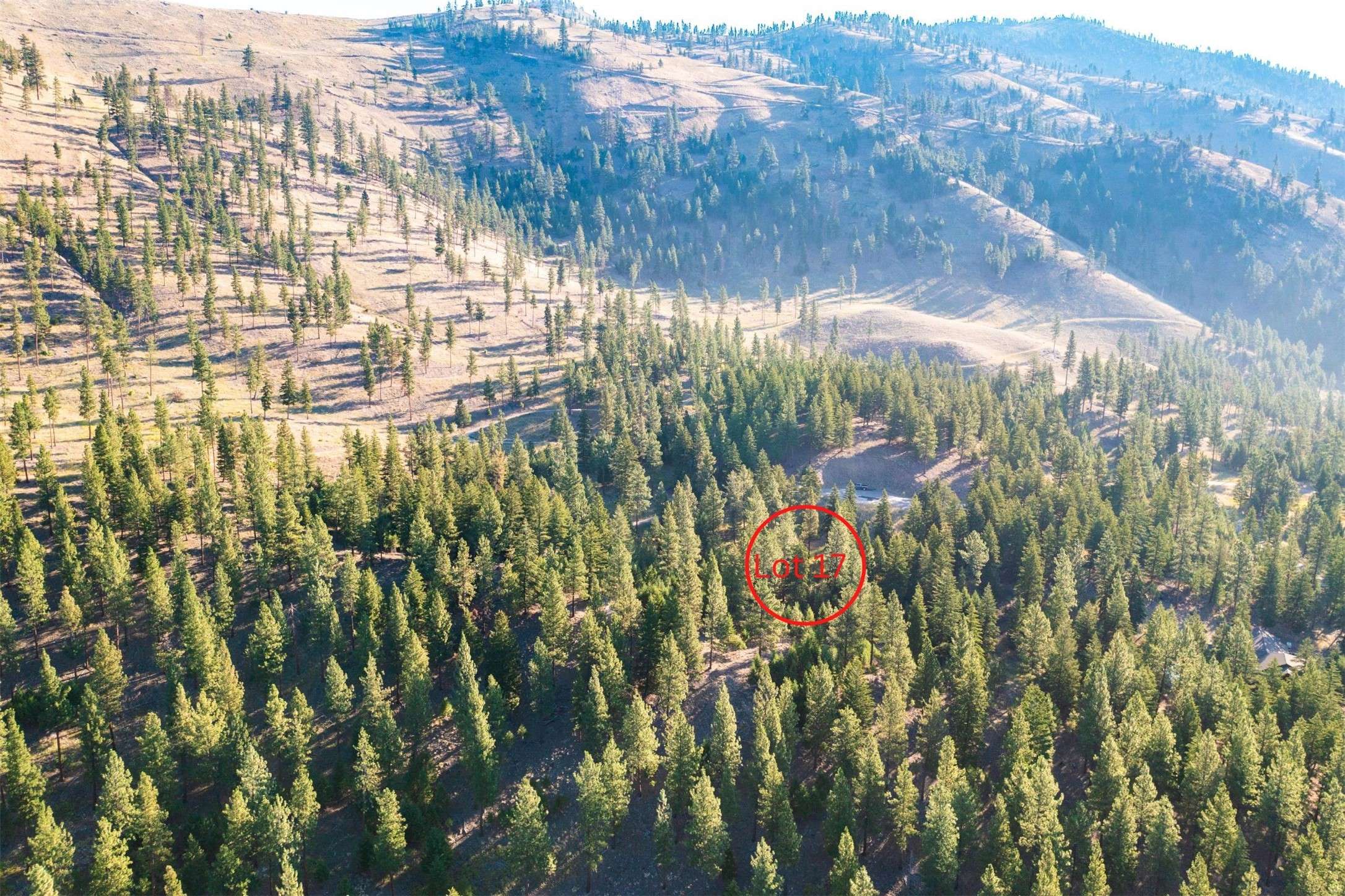 Clinton, MT 59825,Lot 17 Caddisfly CT