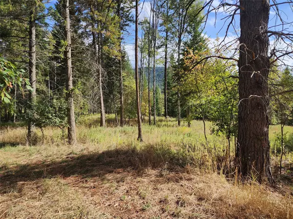 Libby, MT 59923,nka Shalom DR