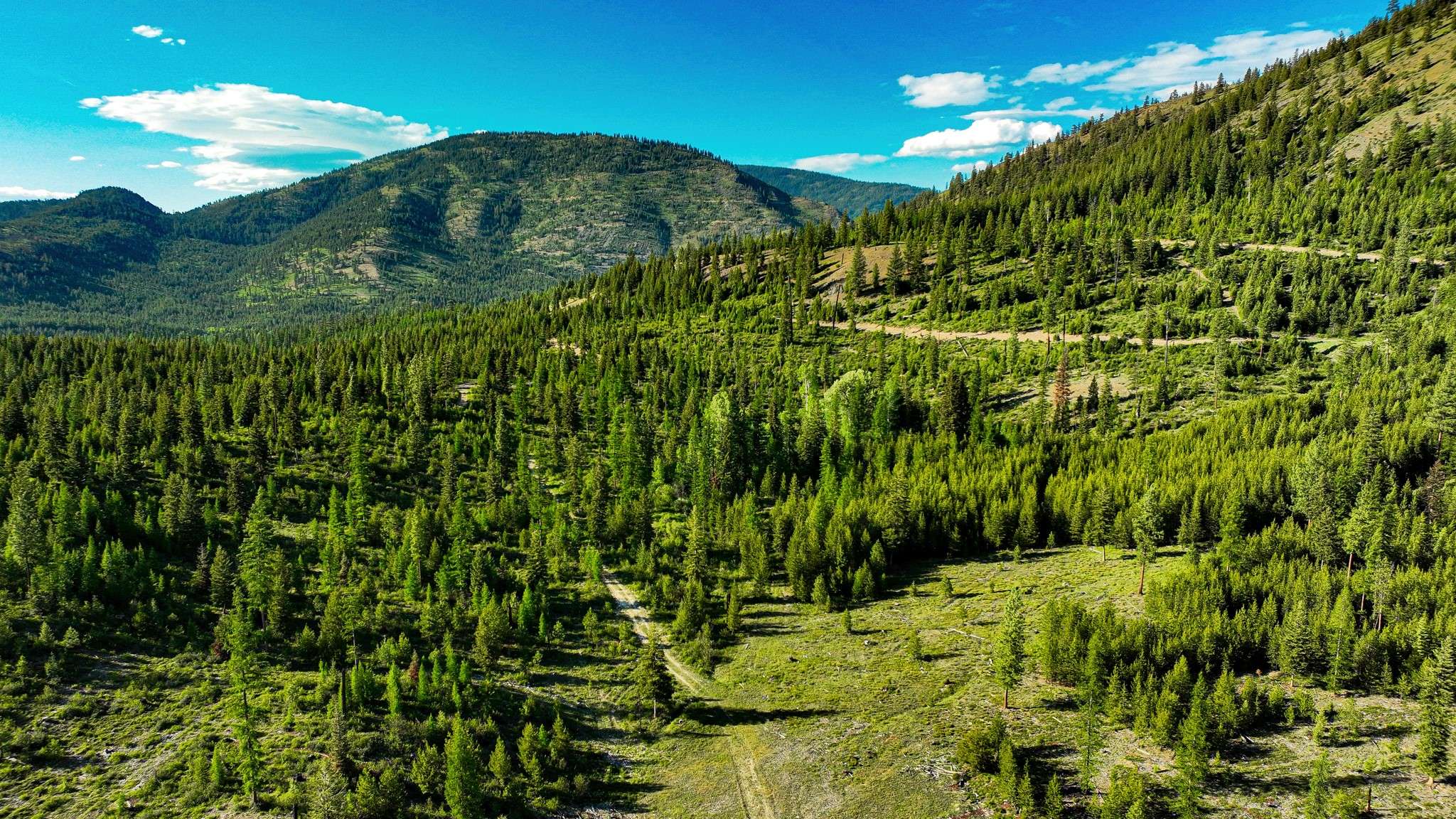 Libby, MT 59923,Nhn Houghton Creek RD