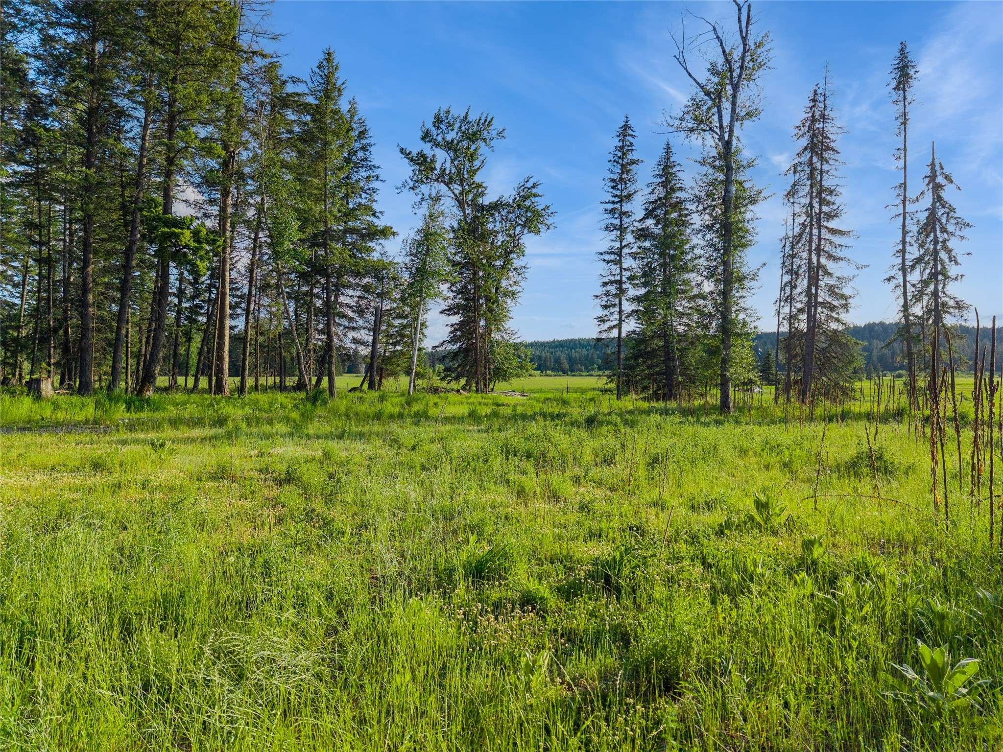 Columbia Falls, MT 59912,1350 Mooring Meadow DR