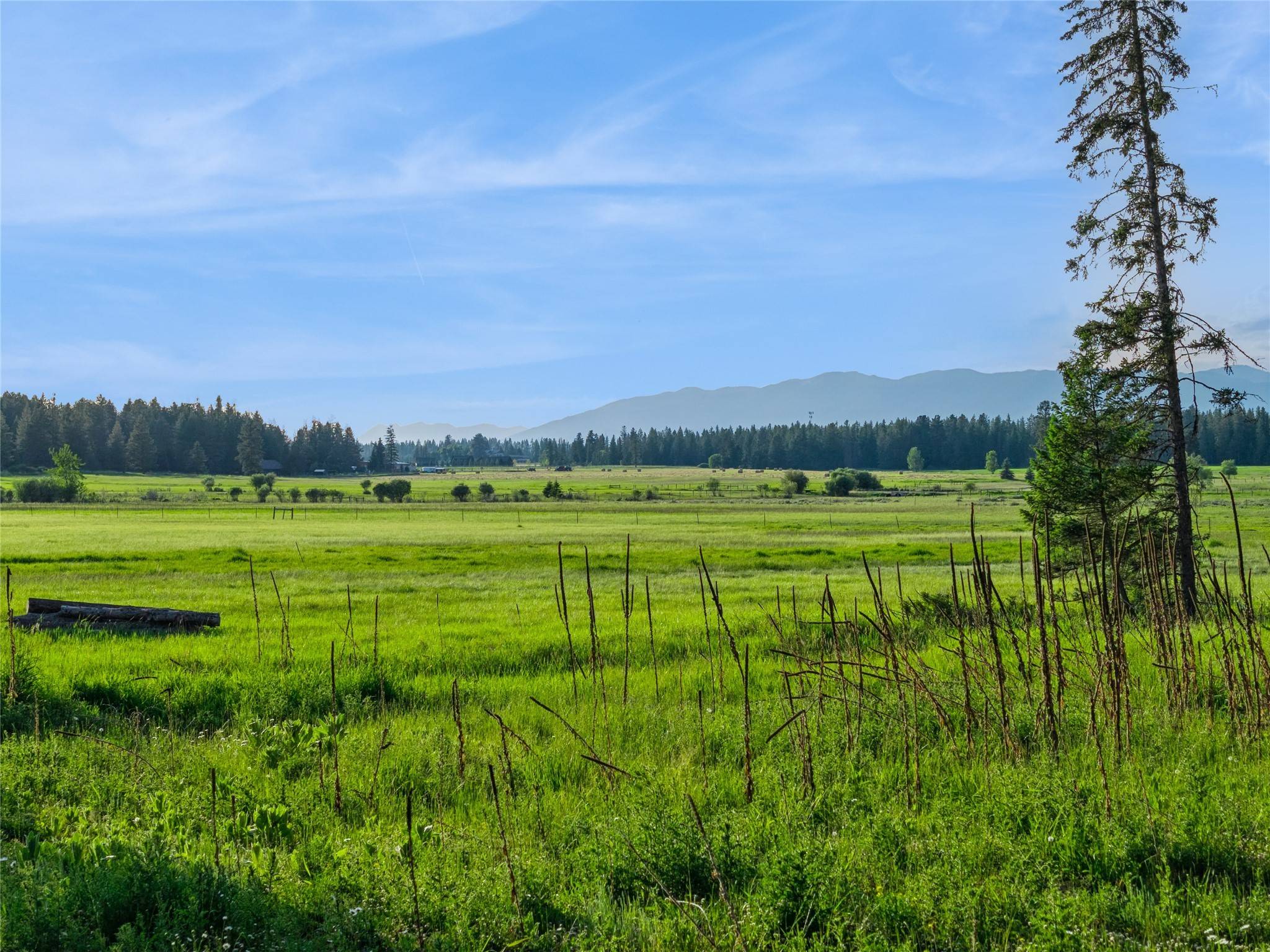 Columbia Falls, MT 59912,1350 Mooring Meadow DR